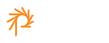 Phase2 Technology